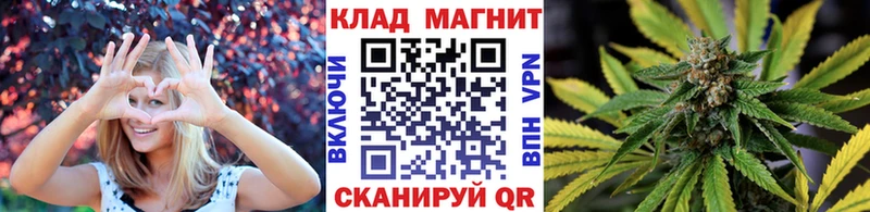 Магазины продажи наркотиков Шарья Галлюциногенные грибы МАРИХУАНА КОКАИН APVP Мефедрон ГАШИШ