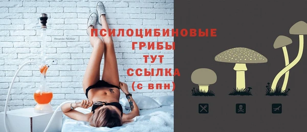 мдпв Майский