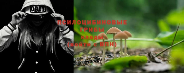 MDMA Лиски