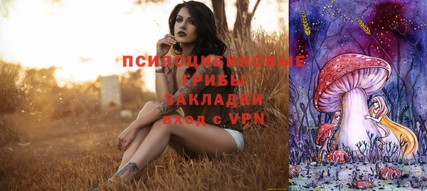 a pvp Магас