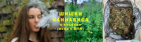 мдпв Майский