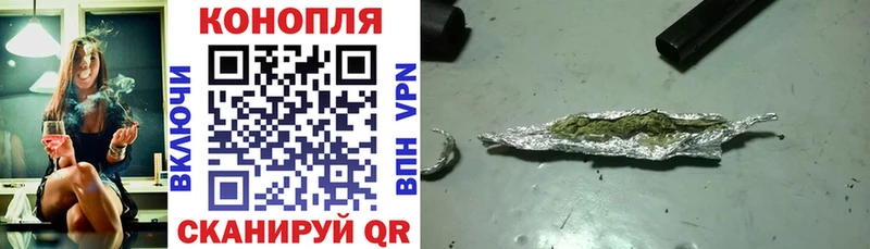купить наркоту  Шарья  Конопля SATIVA & INDICA 